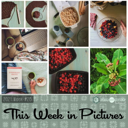 This Week in Pictures, Week 28. 2021