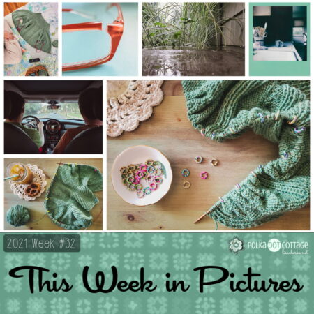 This Week in Pictures, Week 32, 2021