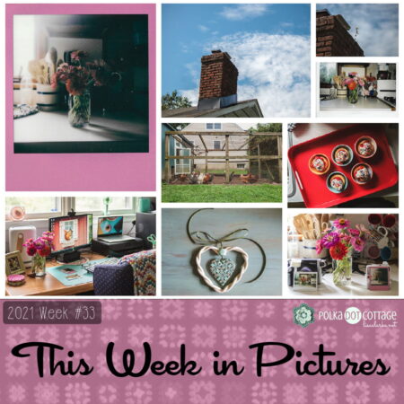 This Week in Pictures, Week 33, 2021