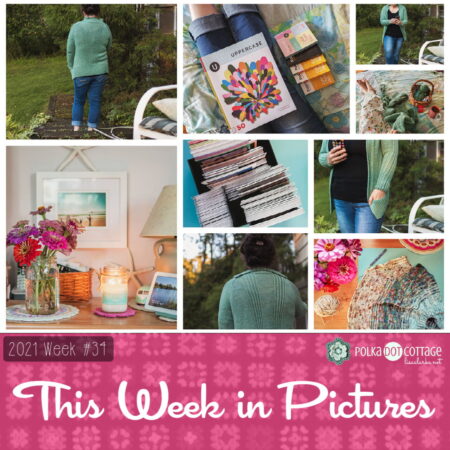 This Week in Pictures, Week 33, 2021