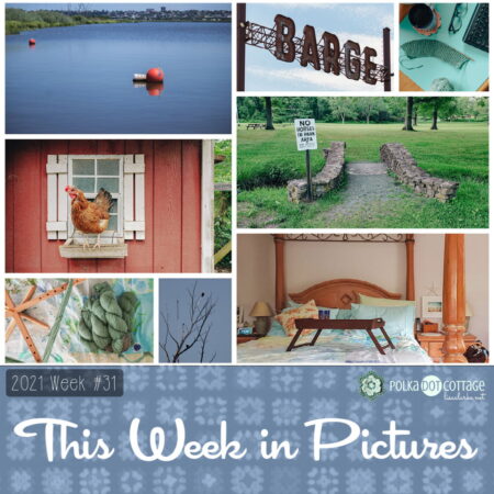 This Week in Pictures, Week 31, 2021