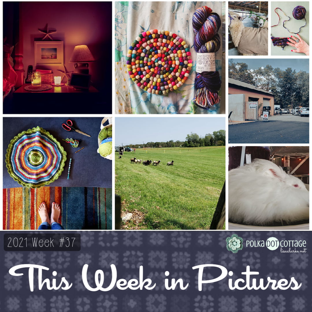 This Week in Pictures, Week 37, 2021