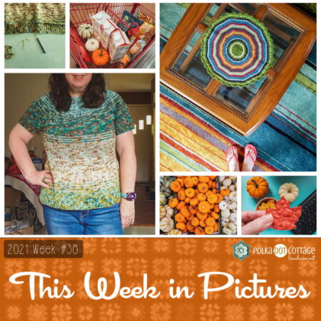 This Week in Pictures, Week 38, 2021