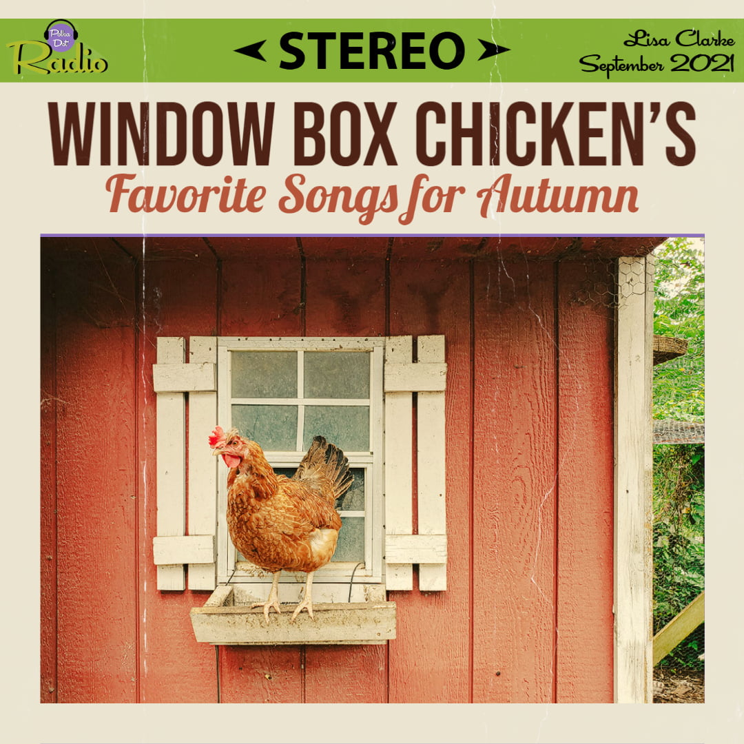 Window Box Chicken's Favorite Songs for Autumn