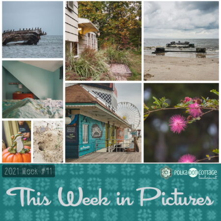 This Week in Pictures, Week 41, 2021