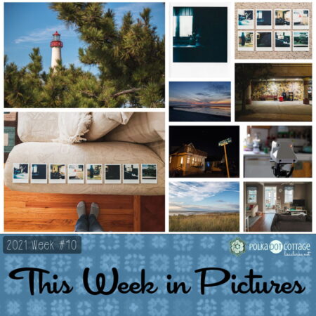This Week in Pictures, Week 30, 2021