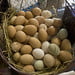beautiful basket of chicken eggs