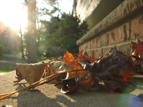 Fall, straight out of the camera