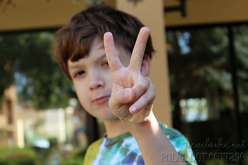 365 day 231 - Peace.