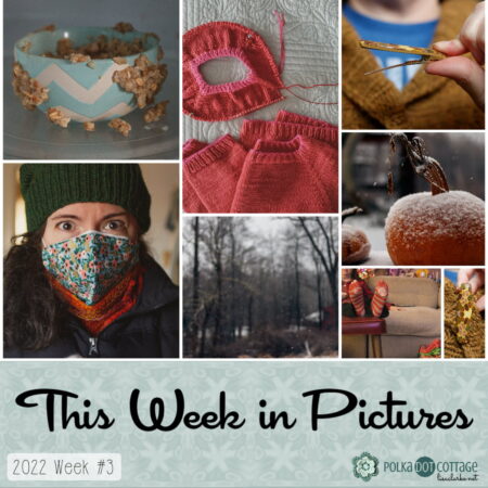 This Week in Pictures, Week 2, 2022