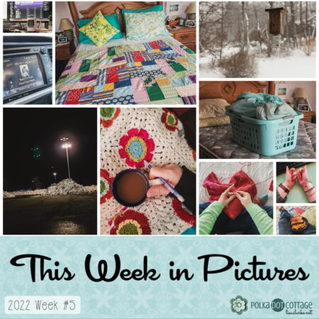This Week in Pictures, Week 5, 2022