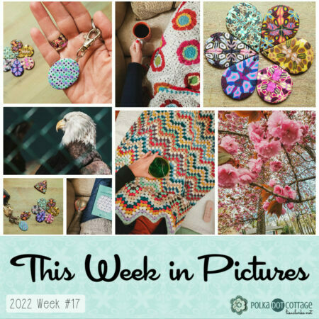 This Week in Pictures, Week 17, 2022