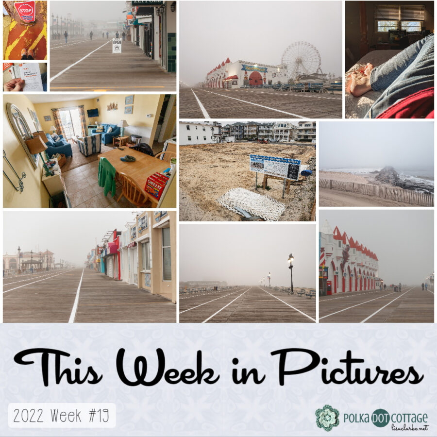 This Week in Pictures, Week 19, 2022