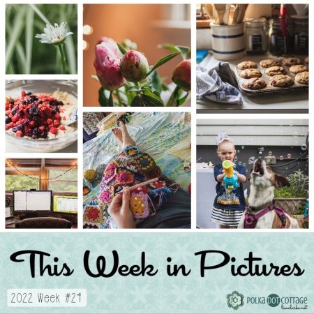 This Week in Pictures, Week 24, 2022