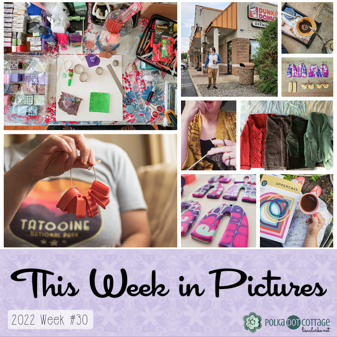 This Week in Pictures, Week 30, 2022