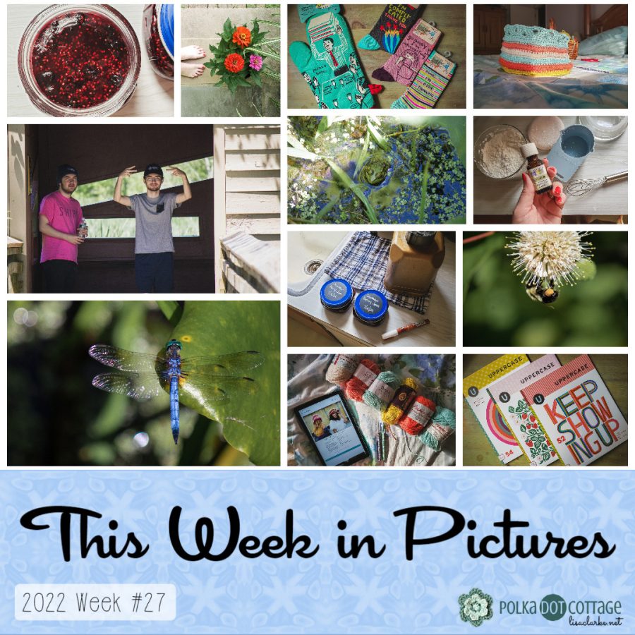 This Week in Pictures, Week 27, 2022