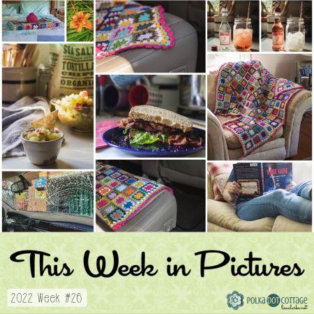 This Week in Pictures, Week 26, 2022