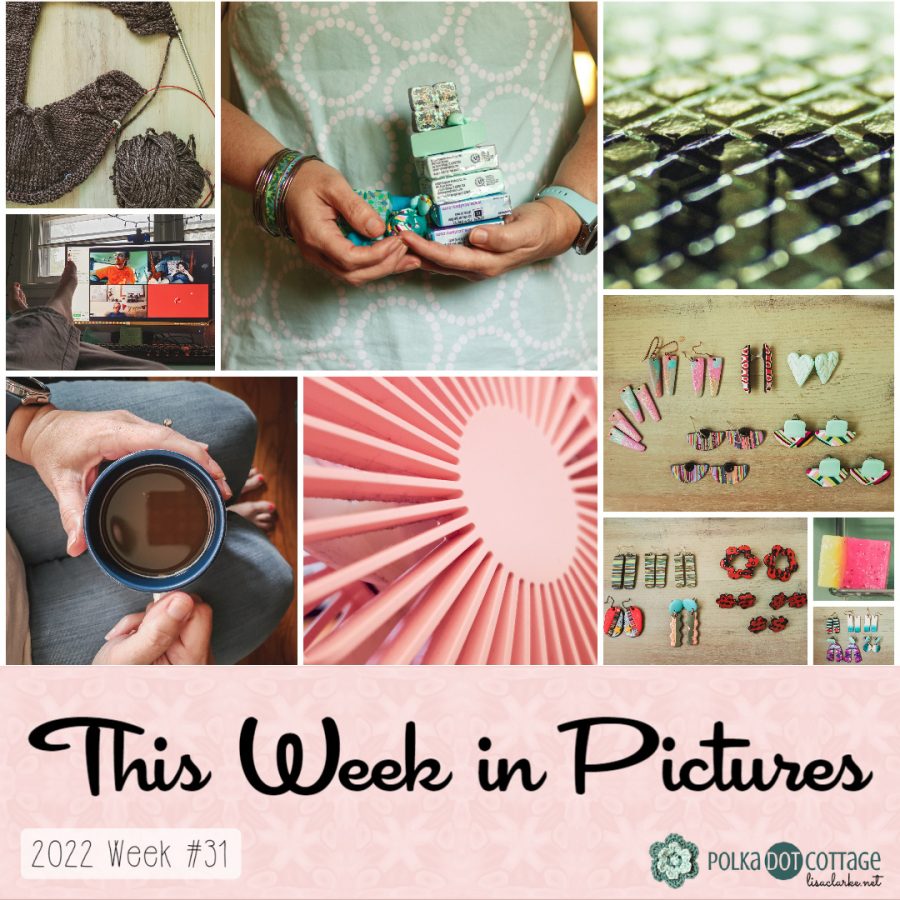 This week in Pictures, Week 31, 2022