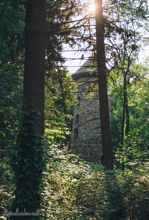 13_film230613-27_blog