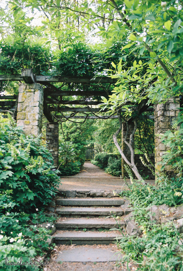 13_film230613-35_blog