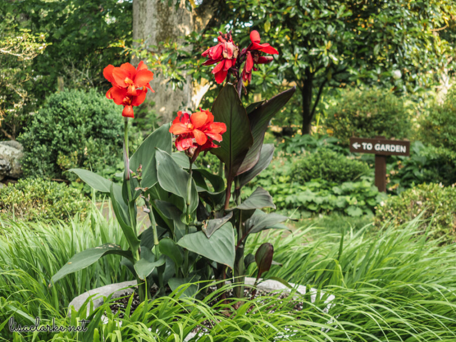 13_phone230613-21_blog