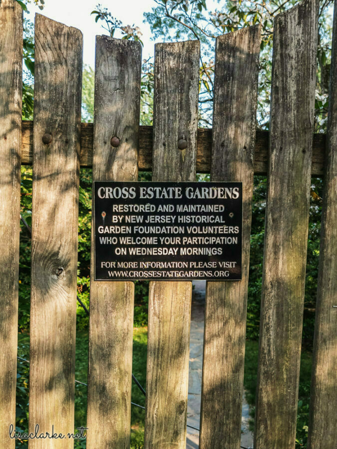 13_phone230613-23_blog