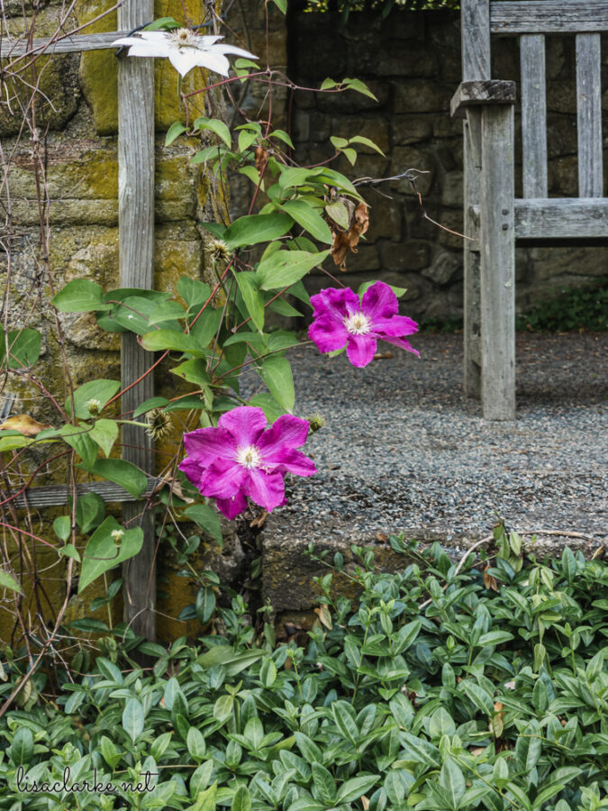 13_phone230613-27_blog