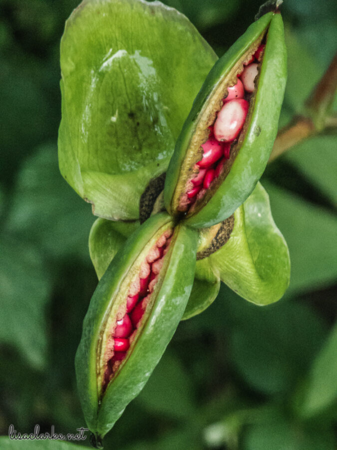 13_phone230613-28_blog