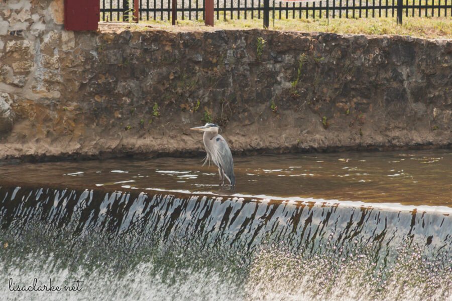 17_camera230617-96_blog