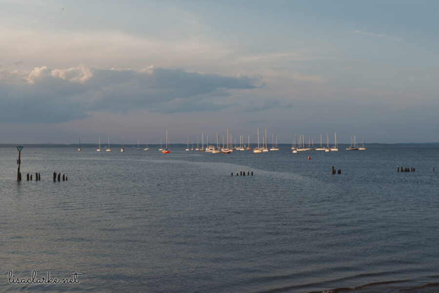 Canon EOS 80D w/ 35mm lens