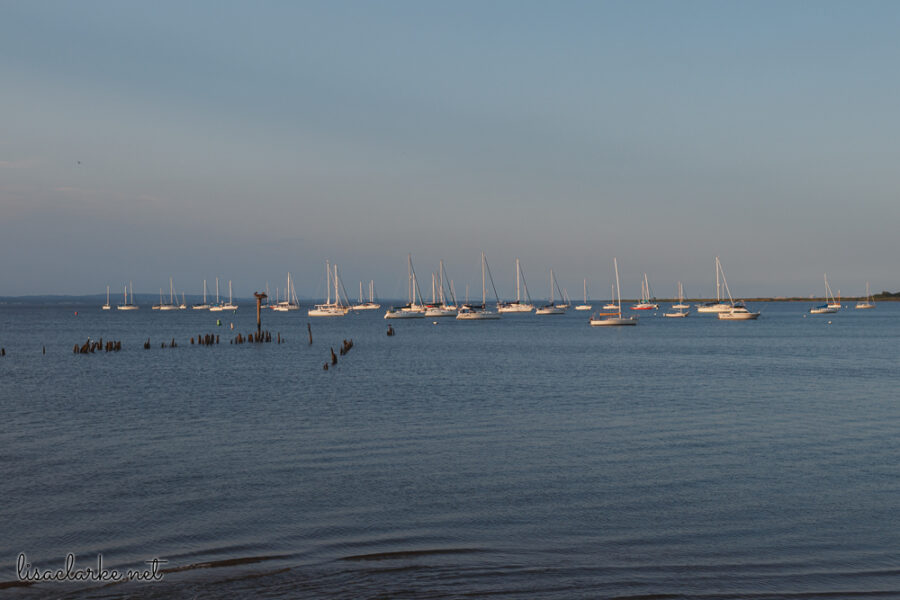 Canon EOS 80D w/ 35mm lens