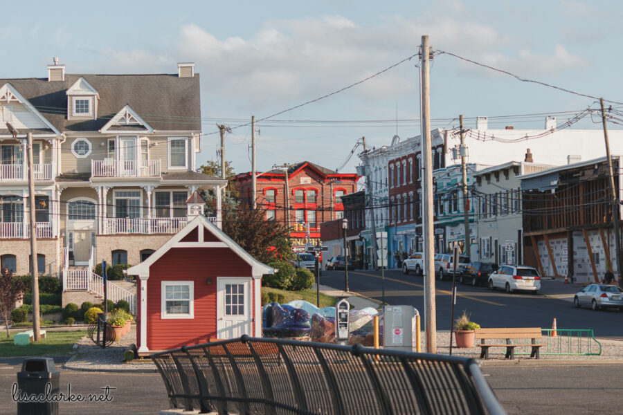 Canon EOS 80D w/ 55-250mm lens