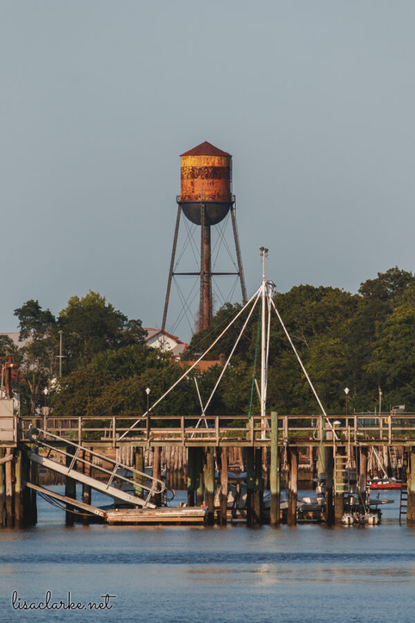 Canon EOS 80D w/ 55-250mm lens