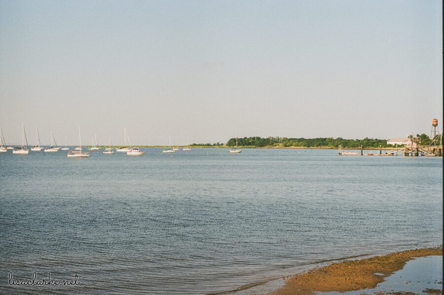 Minolta XG-M w/ 50mm lens