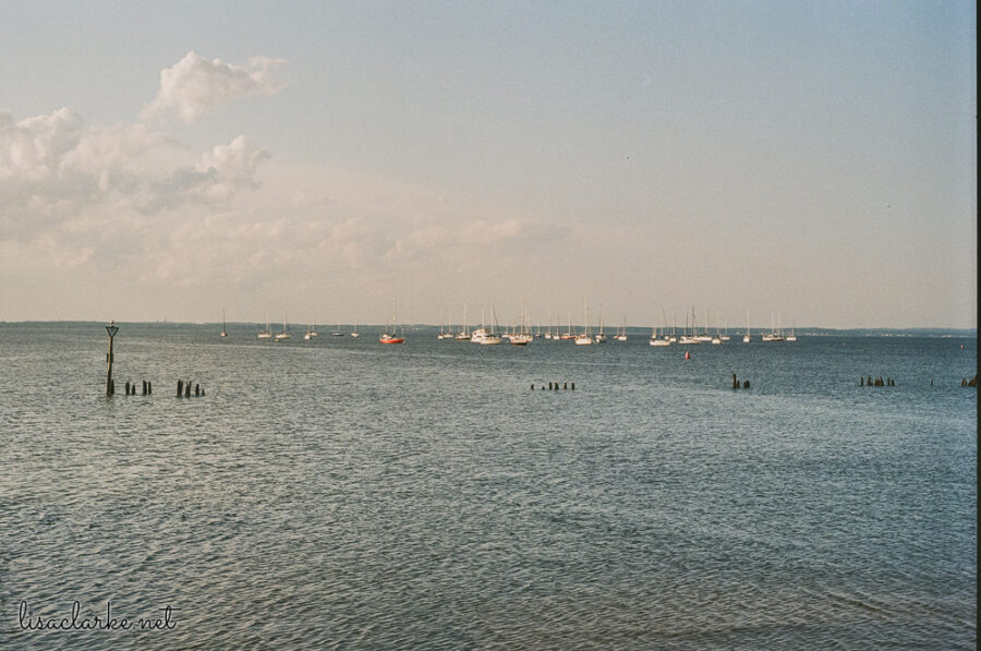 Minolta XG-M w/ 50mm lens