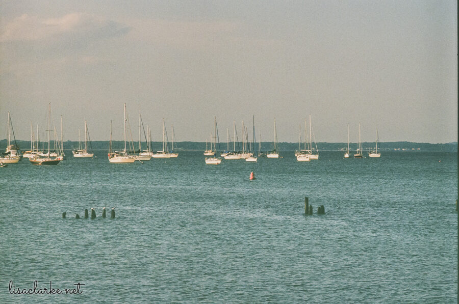 Minolta XG-M w/ 135mm lens