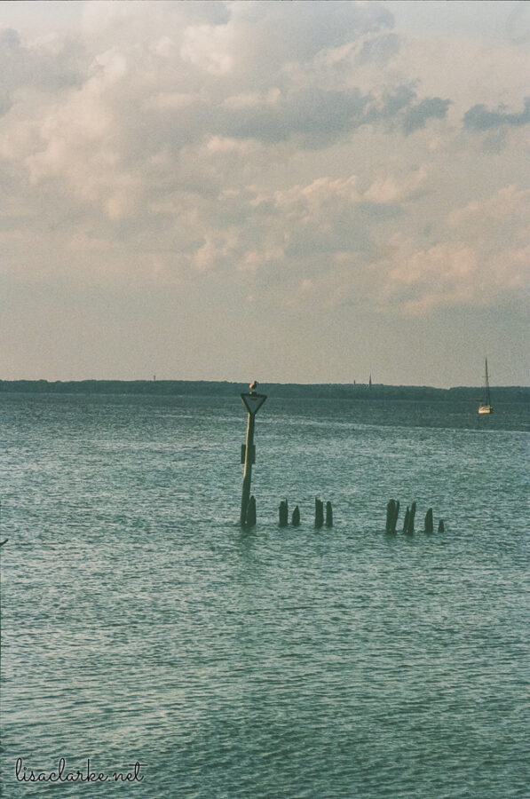 Minolta XG-M w/ 135mm lens