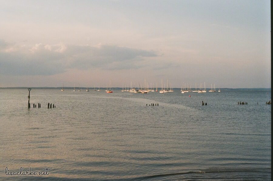 Minolta XG-M w/ 50mm lens