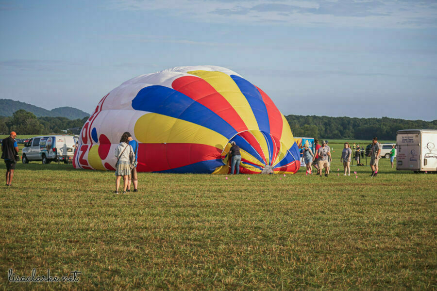 Canon EOS 80D w/ 55-250mm lens