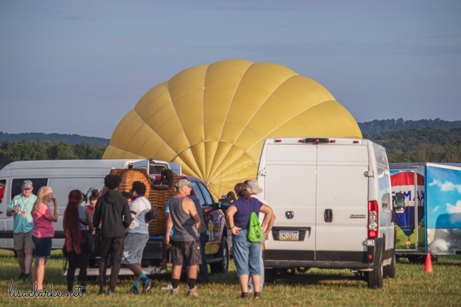 Canon EOS 80D w/ 55-250mm lens