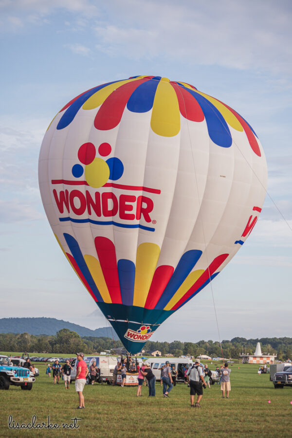 Canon EOS 80D w/ 55-250mm lens