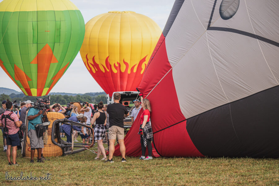 Canon EOS 80D w/ 55-250mm lens