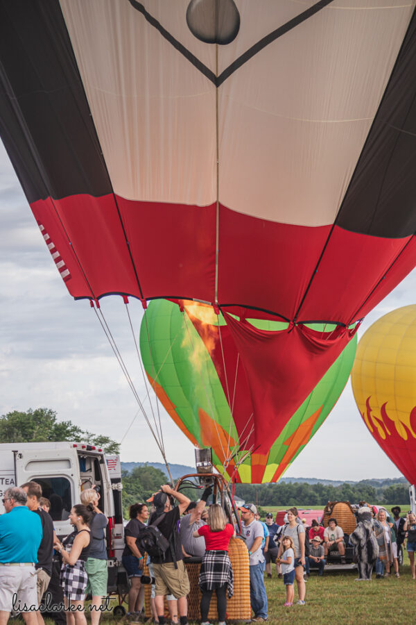 Canon EOS 80D w/ 55-250mm lens