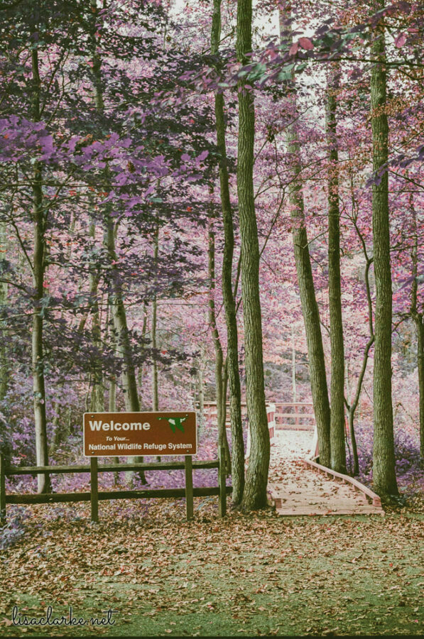 06_film231006-14_blog