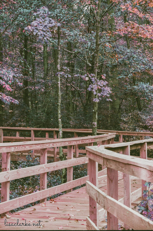 06_film231006-16_blog