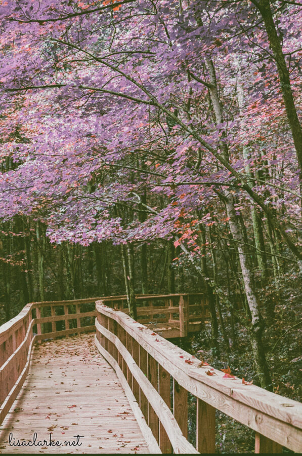 06_film231006-17_blog