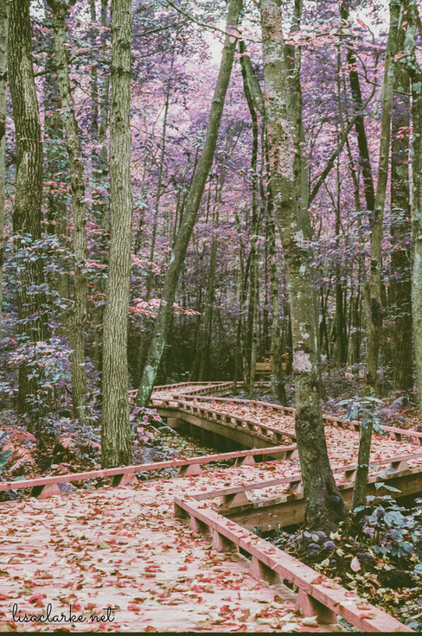 06_film231006-18_blog