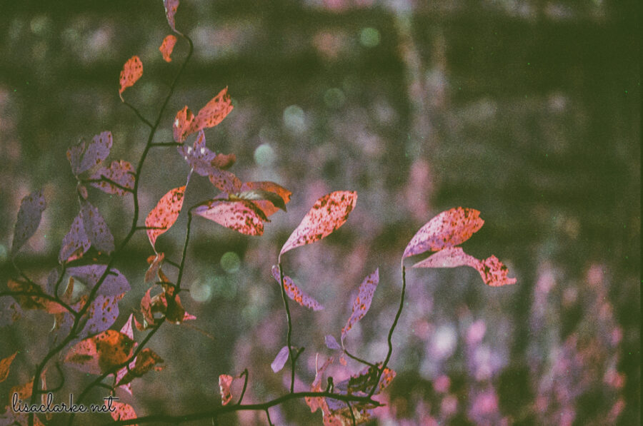 06_film231006-20_blog