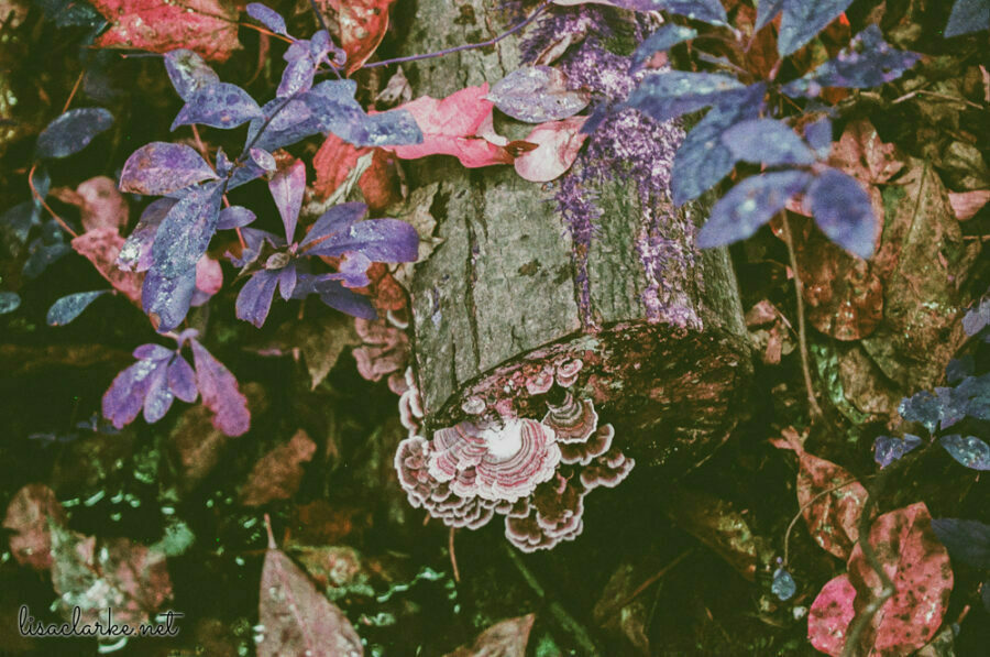 06_film231006-21_blog