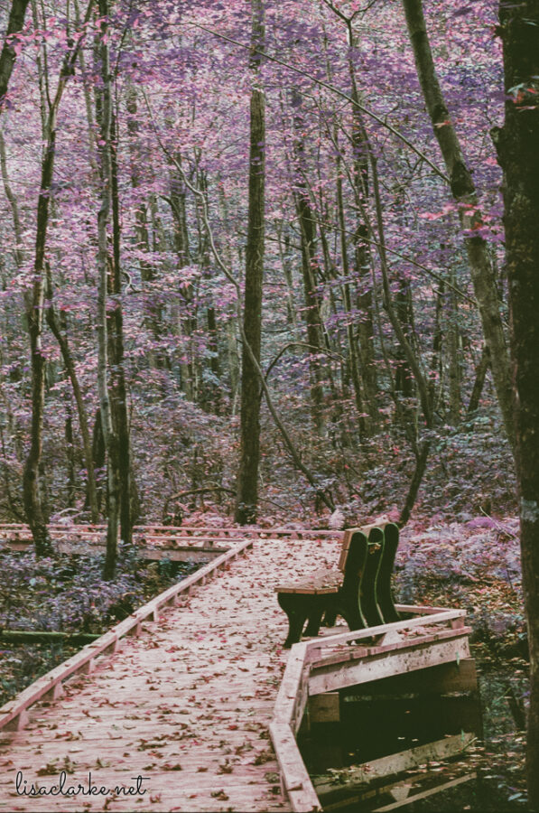 06_film231006-22_blog